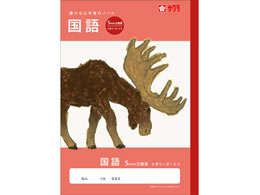 �T�N���N���p�X �w�K�� ���� ����r5�~�� NJ31