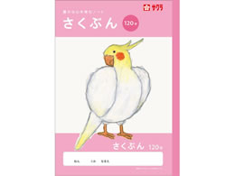 �T�N���N���p�X �w�K�� �앶 120�� NJ105