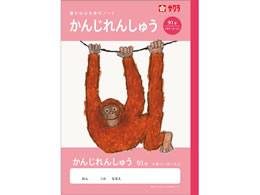 �T�N���N���p�X �w�K�� ���� 91��R NJ52