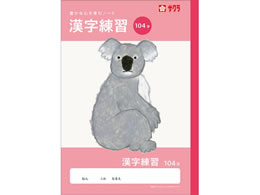 �T�N���N���p�X �w�K�� ���� 104�� NJ53