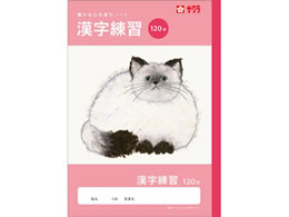 �T�N���N���p�X �w�K�� ���� 120�� NJ54