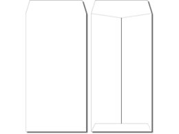 �C�������� ��3�z���C�g100g ���g�Ȃ� 1000���� N3C-120N