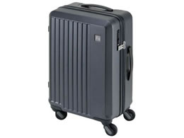 Gh[ LIEVE 4փL[ 48cm _[NO[ 1-250 DGY