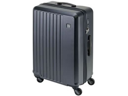 Gh[ LIEVE 4փL[ 57cm _[NO[ 1-252 DGY