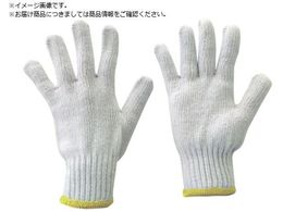 TRUSCO aR 10o ڕt600g zCg TGM600W-10P