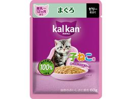 }[XWp~ebh JJpE` 12܂ ܂ 60g