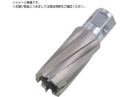 ���� �W�F�b�g�u���[�` �����^�b�`�^�C�v 15X25L 16315 NO.16315