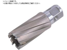 ���� �W�F�b�g�u���[�` �����^�b�`�^�C�v 19X35L 16319 NO.16319