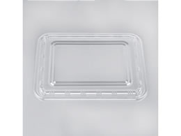 �V�[�s�[���� Z-256 �����W(B) 100�� 00738241