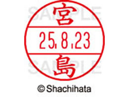 �V���`�n�^ �f�[�^�[�l�[��EX15�� ��� �{�� XGL-15M-1879