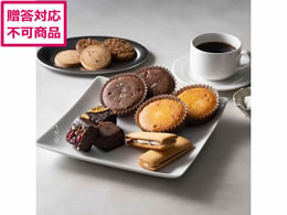 zeI[N XC[c&R[q[Mtg 17 HOJ-01A