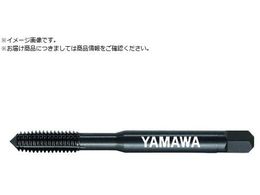 } X`[p[^bv N-RZ G7 M6X0.75 P N-RZ-G7-M6X0.75-P