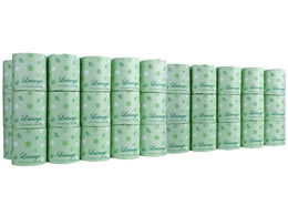 m i[W gCbgy[p[130m 60[ 1867