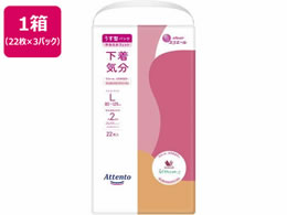 Aeg ^pc C GKgsNx[W L22 3P