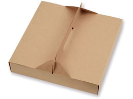 �V���W�} NF�l�I�N���t�g �L�����[�s�UBOX 9�C���`�p 10�� 4248328