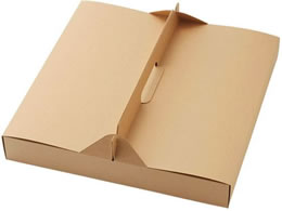 �V���W�} NF�l�I�N���t�g �L�����[�s�UBOX 12�C���`�p 10�� 4248329