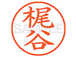 �V���`�n�^ XL-9(���J)