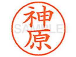 �V���`�n�^ XL-9(�_��)