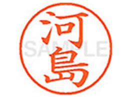 �V���`�n�^ XL-9(�͓�)