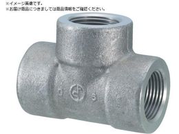 �t�W�g�N �`�[�Y �e�B�[ 40A �Y�f�| �˂����� T-PT-40A