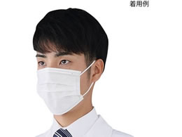 �A�Y���� �v���V�F�A�E�J���t���t�F�C�X�}�X�N �z���C�g 50���� 7-7423-01