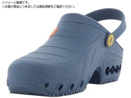 SAFETY J ILVNbO u[ 29.0 30.0