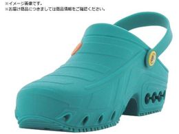 SAFETY J ILVNbO O[ 25.0 25.5