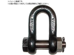 TAIYO TAIYO�V���b�N��M �� SB-10 1015432 TSB-10