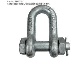 TAIYO TAIYO�V���b�N��M �h�u SB-10 1015435 TSB-10G