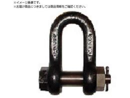 TAIYO TAIYO�V���b�N��M �� SB-16 3005291 TSB16