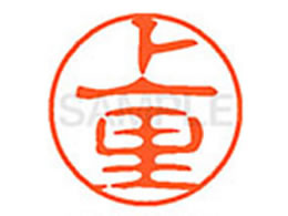 V`n^ XL-11(㗢) XL1102049