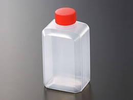 �������w �^���� �ꍇ�� (D) 25��