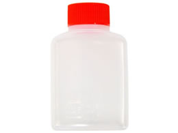 �������w �^���� �p�� (D) 50��