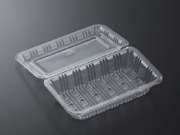 �������w �t�[�h�p�b�N ���[ SE 100��