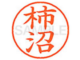 �V���`�n�^ XL-9(�`��)