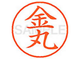 �V���`�n�^ XL-9(����)