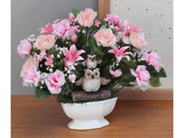 �t�@�~���[�E���C�t �K���̂ӂ��낤�A�����W�����g�t�����[ �s���N a3597320