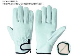 V ؊v PL719 M nt PL719 M