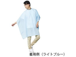 ���z ���C�g�s���N 8-2544-01