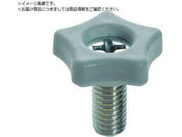 TRUSCO �\�����t�c�[���m�u��15 �� M4X8 �m�u����5.5 10�� P=0.7 TT2M4X8-W