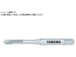 } |Cg^bv PO P4 M16X2 PO-M16X2