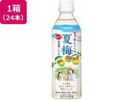 �`���[���~�� CHOYA�@�Ĕ~ 500mL�~24�{