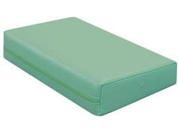 ���c�x�b�h �J���[�}�b�T�[�W�}�N�� ���C�g�O���[�� TB-77C-05