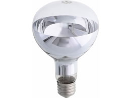 TAKAGI EARTH MAN ���t���N�^�[�����v 300W�^ IL-300RFA