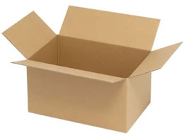 �w�C�R�[ �i�{�[�� A5�p-130 �X���� ���n 20�� 2123203