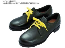 ~hS ÓdSC V251NÓd 23.0CM V251NS-23.0