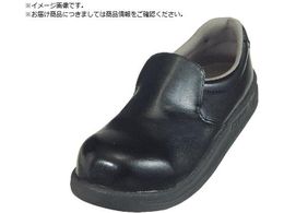 i ϊc~[V[Y V5100  22.0cm