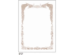 qTS ܏g A5^e 10 CJ171A5S