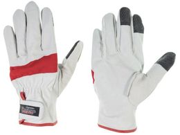 �y���M���G�[�X �؊v��� ���X�L���[�t�H�[�X ���b�h M RF-1 RED M