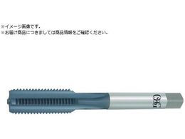 OSG �n���h�^�b�v �_�C�J�X�g�p �[���^�b�v ���[�g���˂��p M12 �s�b�`1.75mm 8312573 VP-DC-HT-STD-M12 X 1.75 8312573